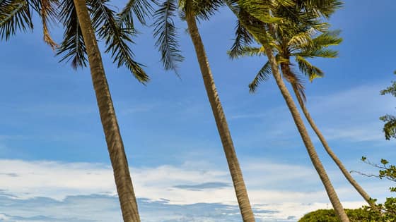 Koh Samui Itinerary 3 Days 2 Nights